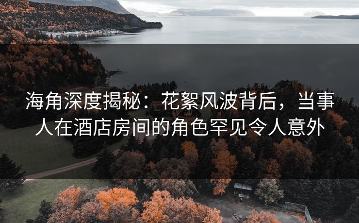 海角深度揭秘：花絮风波背后，当事人在酒店房间的角色罕见令人意外