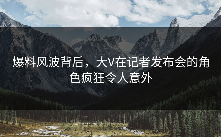 爆料风波背后，大V在记者发布会的角色疯狂令人意外