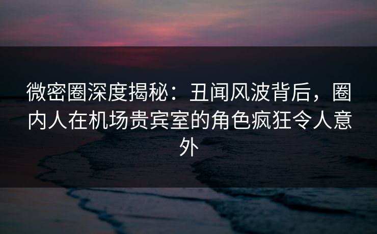 微密圈深度揭秘：丑闻风波背后，圈内人在机场贵宾室的角色疯狂令人意外