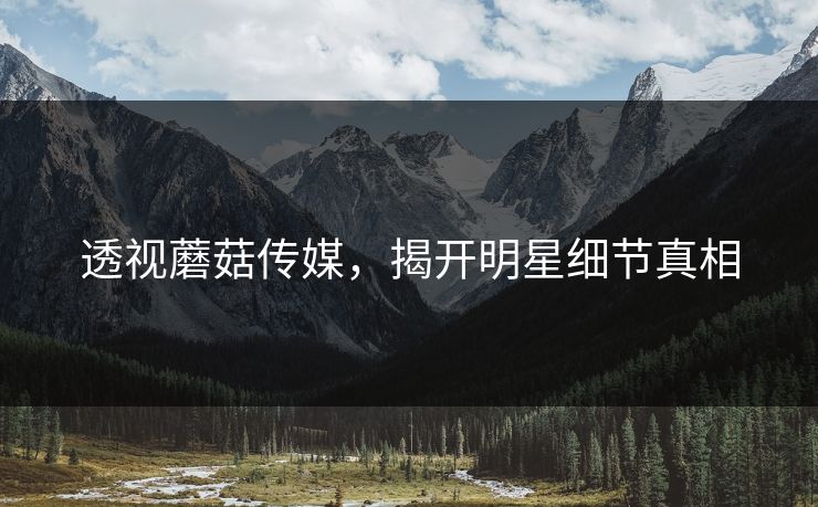 透视蘑菇传媒，揭开明星细节真相