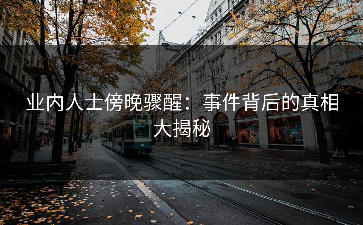 业内人士傍晚骤醒：事件背后的真相大揭秘