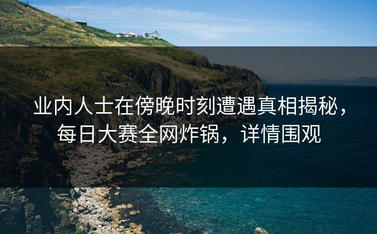 业内人士在傍晚时刻遭遇真相揭秘，每日大赛全网炸锅，详情围观