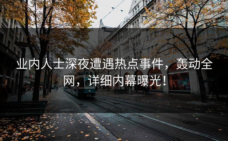 业内人士深夜遭遇热点事件，轰动全网，详细内幕曝光！