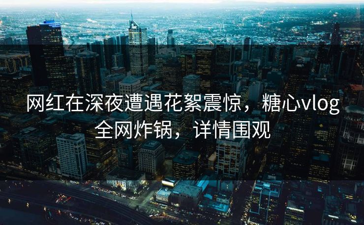 网红在深夜遭遇花絮震惊，糖心vlog全网炸锅，详情围观