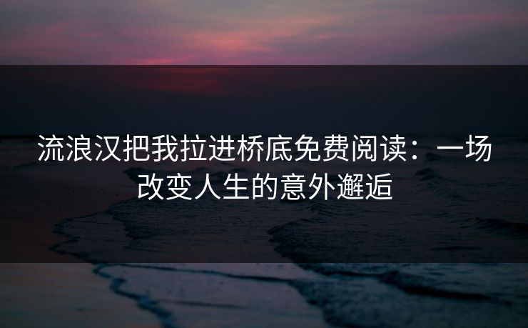 流浪汉把我拉进桥底免费阅读：一场改变人生的意外邂逅