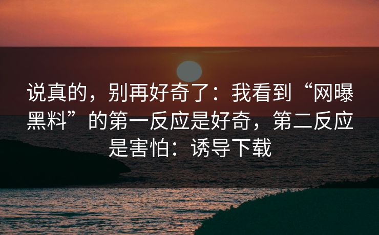 说真的，别再好奇了：我看到“网曝黑料”的第一反应是好奇，第二反应是害怕：诱导下载